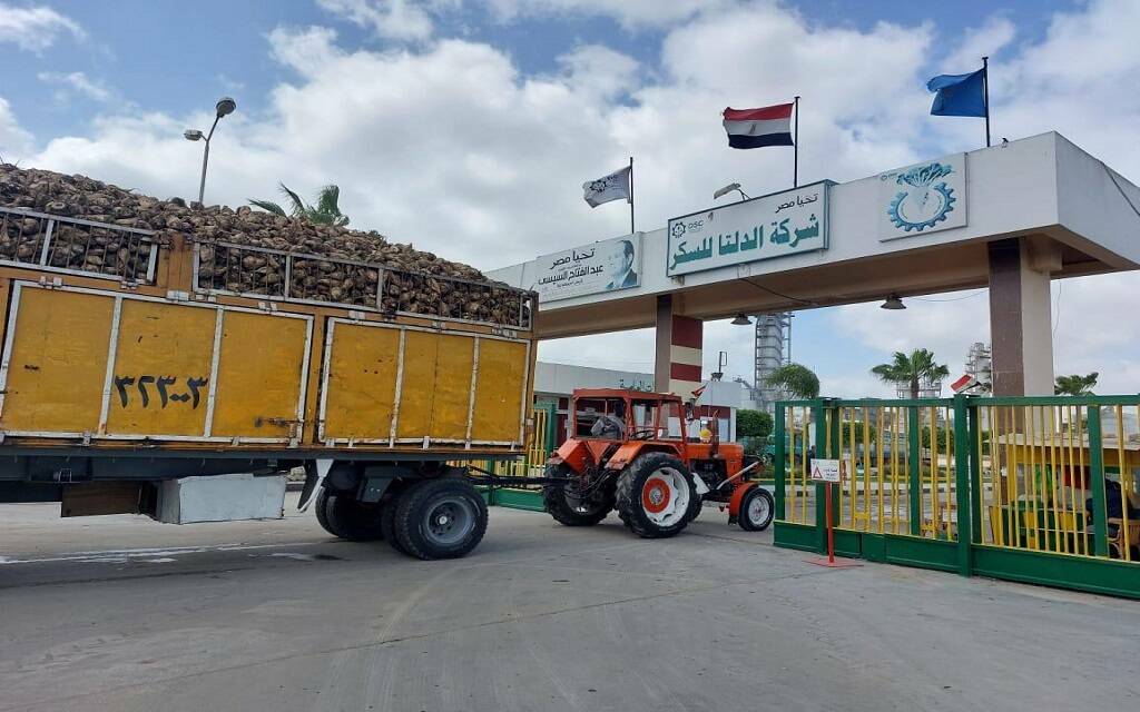 أرباح الدلتا للسكر تتجاوز 1.4 مليار جنيه خلال 9 أشهر.. تفاصيل 